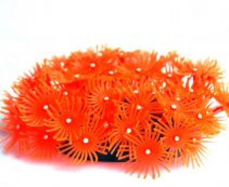 Коралл пластиковый (мягкий) оранж 12*11*5см. (SH 134 R)