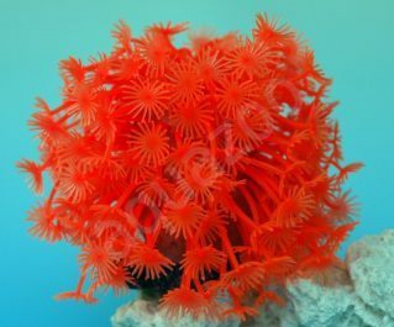 Коралл пластиковый (мягкий) красный 14*14*13см. (SH 173 R)
