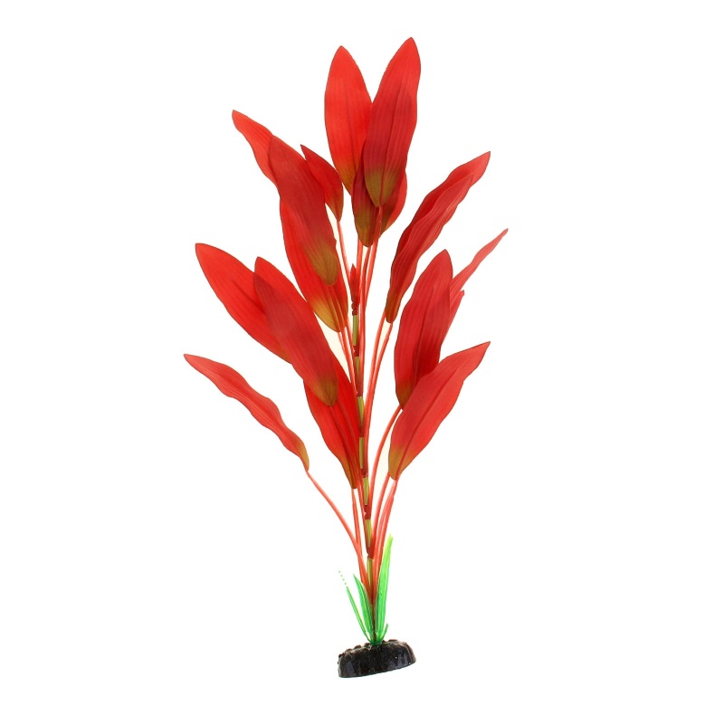 Растение шелковое Эхинодорус Амазонка красный 22 см