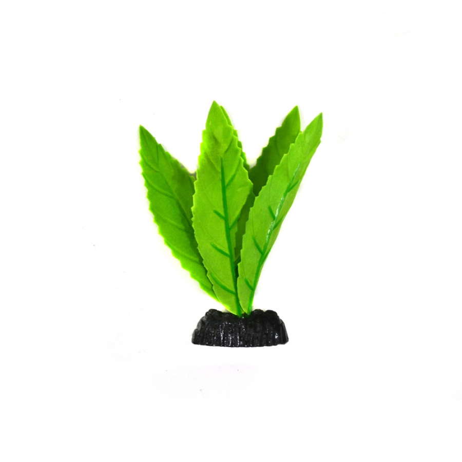 Шёлковое растение Гигрофила 10см	