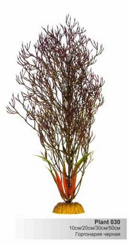 Растение Plant 030 Горгонария черная 30 см