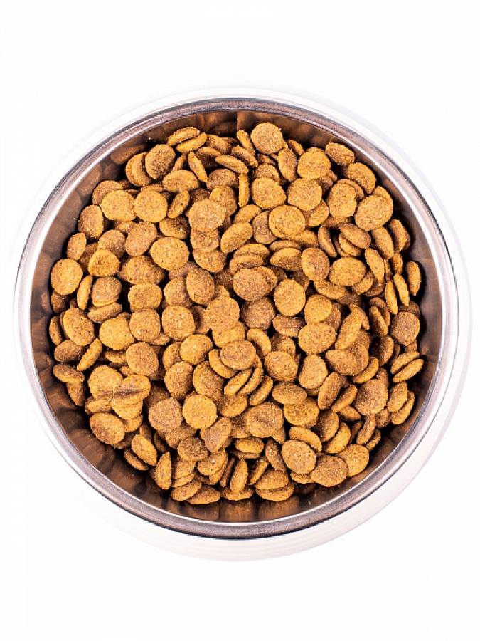 Monge Cat 100 гр ADULT