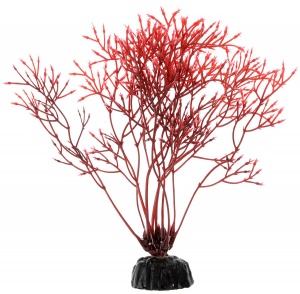 Растение Plant 032 Горгонария красная 10 см