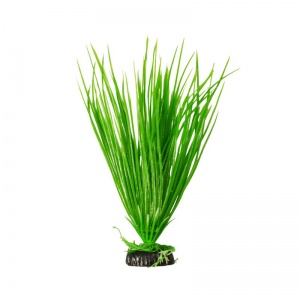 Растение Plant 007 Акорус зеленый 20см