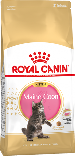Корм Royal Canin Maine Coon Kitten для котят породы Мэйн Кун
