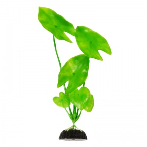 Растение Plant 003 Нимфея 20см