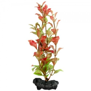 Растение  Tetra DecoArt Plant M Red Ludwigia 23см (Людвигия красная)