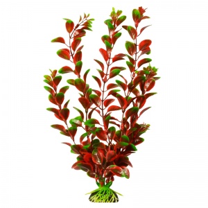 Растение Plant 006 Людвигия красная 30 см