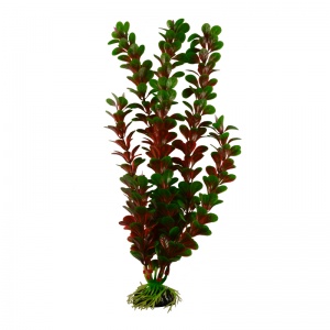 Растение Plant 022 Людвигия 30 см Барбус