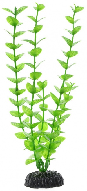 Растение Plant 010 Бакопа зеленая 30 см Барбус