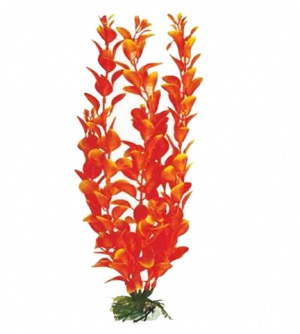 Растение Plant 012 Людвигия оранж 20 см Барбус