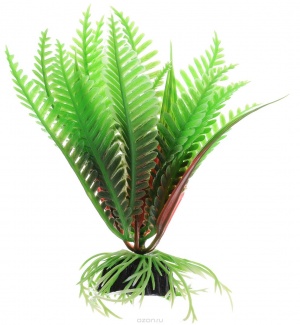 Растение Plant 027 Папоротник зеленый 10 см Барбус