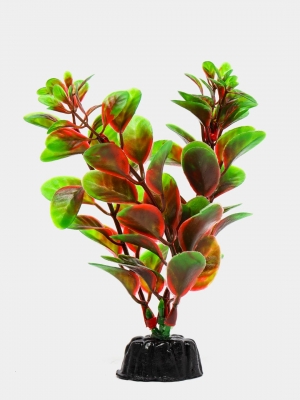 Растение Plant 006 Людвигия красная 10 см
