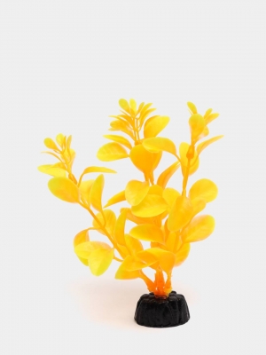 Растение Plant 012 Людвигия ярко-желтая 10 см Барбус