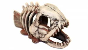 Грот (Deksi) Скелет рыбы пластиковый №901 (22х11х14см)